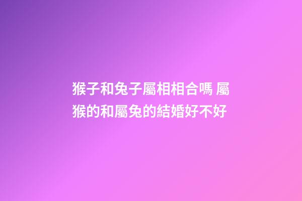 猴子和兔子屬相相合嗎 屬猴的和屬兔的結婚好不好